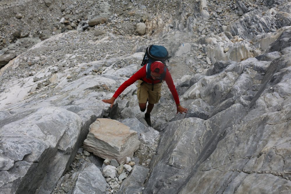 Corsac dans le couloir