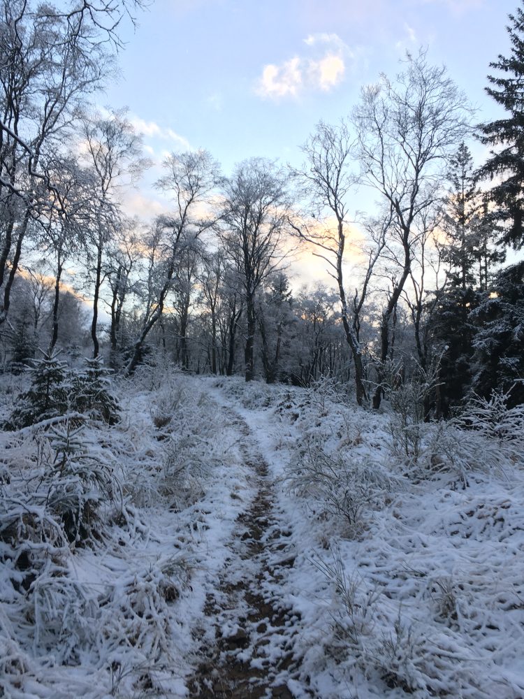 Notre balade dans les Fagnes du samedi