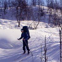 Sarek 1994
