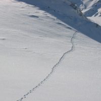 Simplon 2005