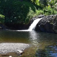 7 Cascade Délices