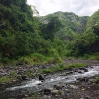 9 L'Arche Naturelle
