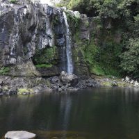 10 Piton Fougères 5